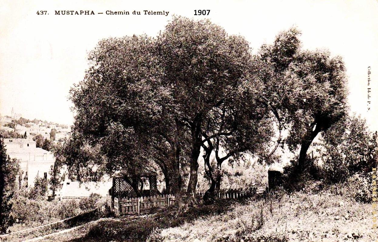 Alger-Mustapha - Chemin du Telemly - 1907.jpg